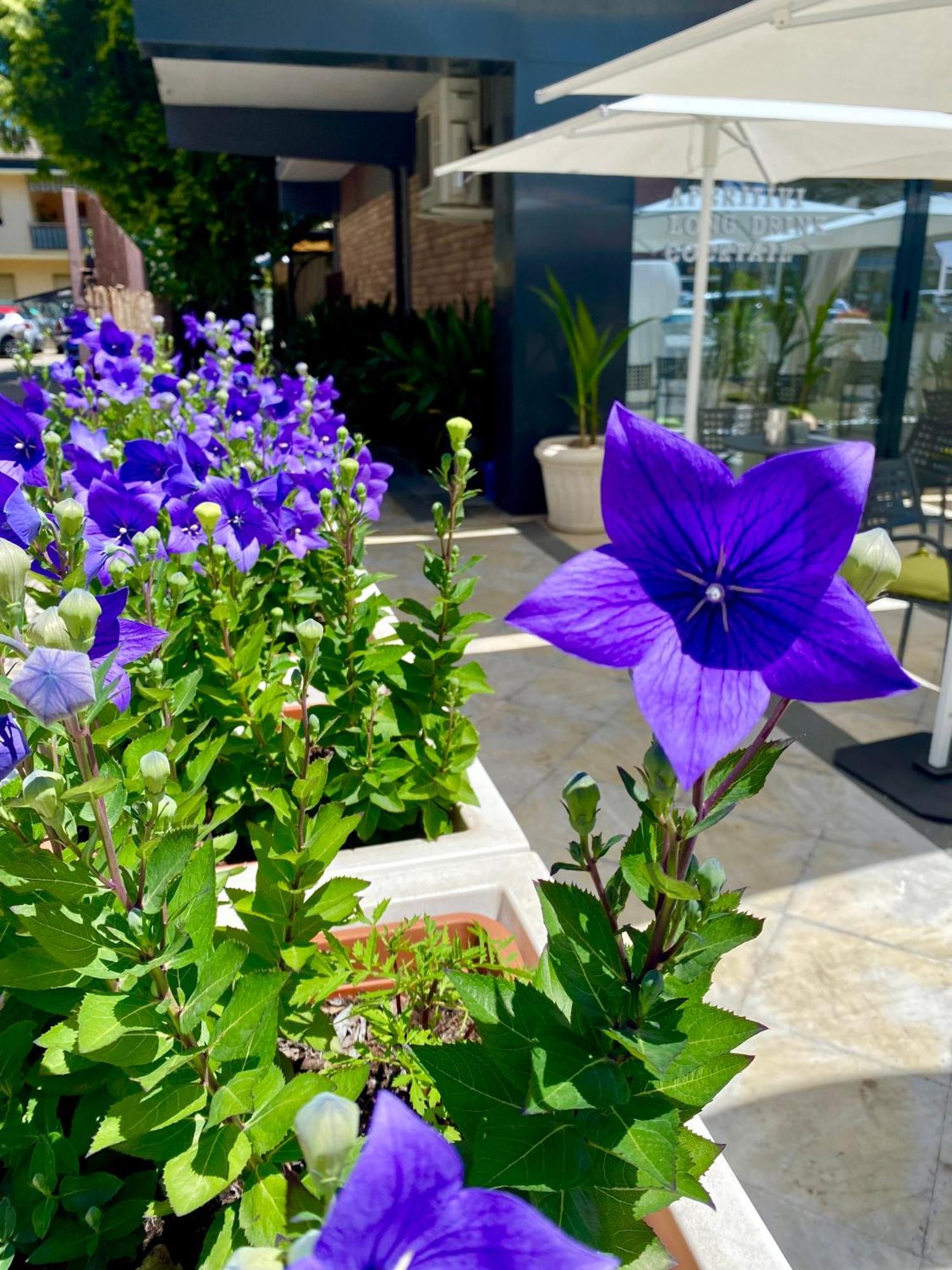 Hotel La Perla Riva del Garda Kültér fotó